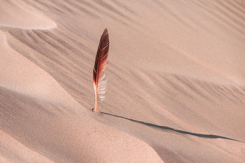 Desert Safari Adventure